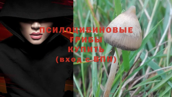 эйфоретик Елабуга