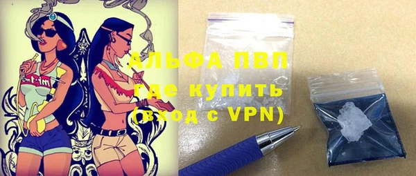 спиды Елизово