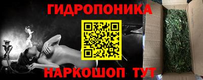 прущие грибы Кулебаки