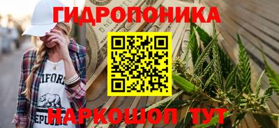 прущие грибы Кулебаки